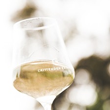 Winter New Releases