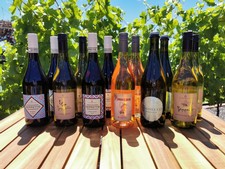 Summer Essentials - 12 pack