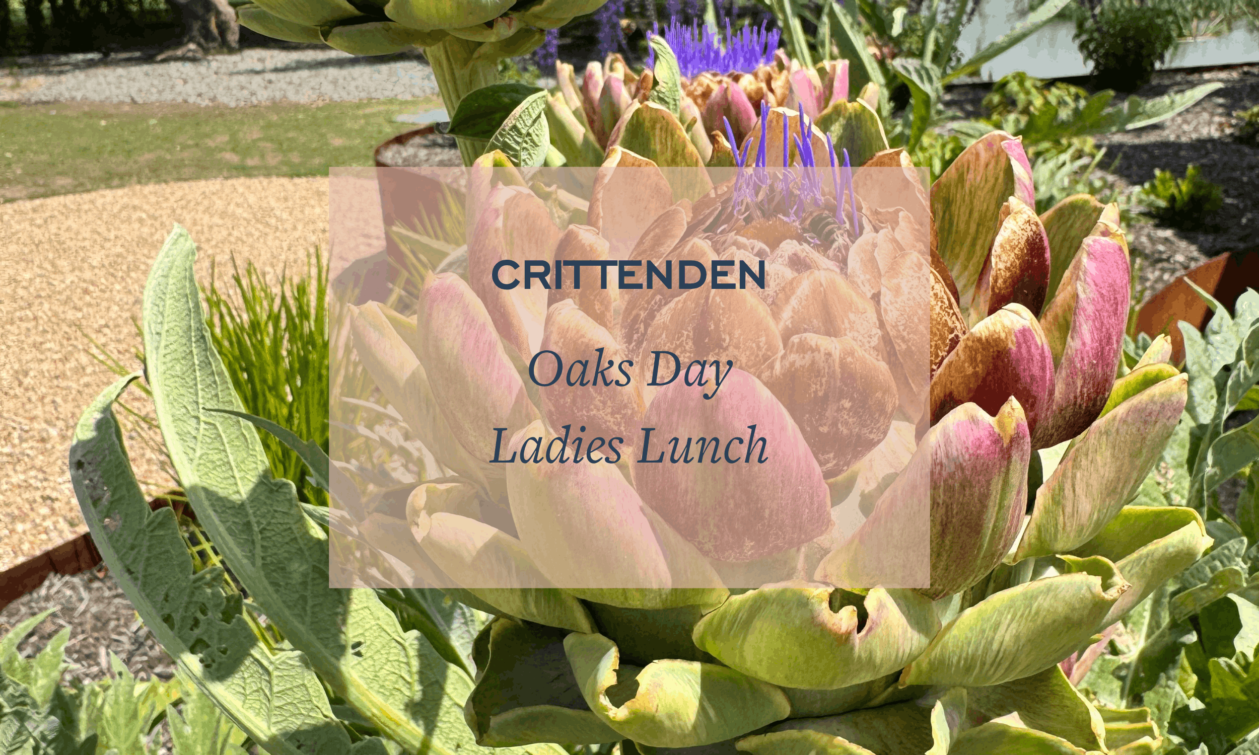 Oaks Day Ladies Lunch 5 November