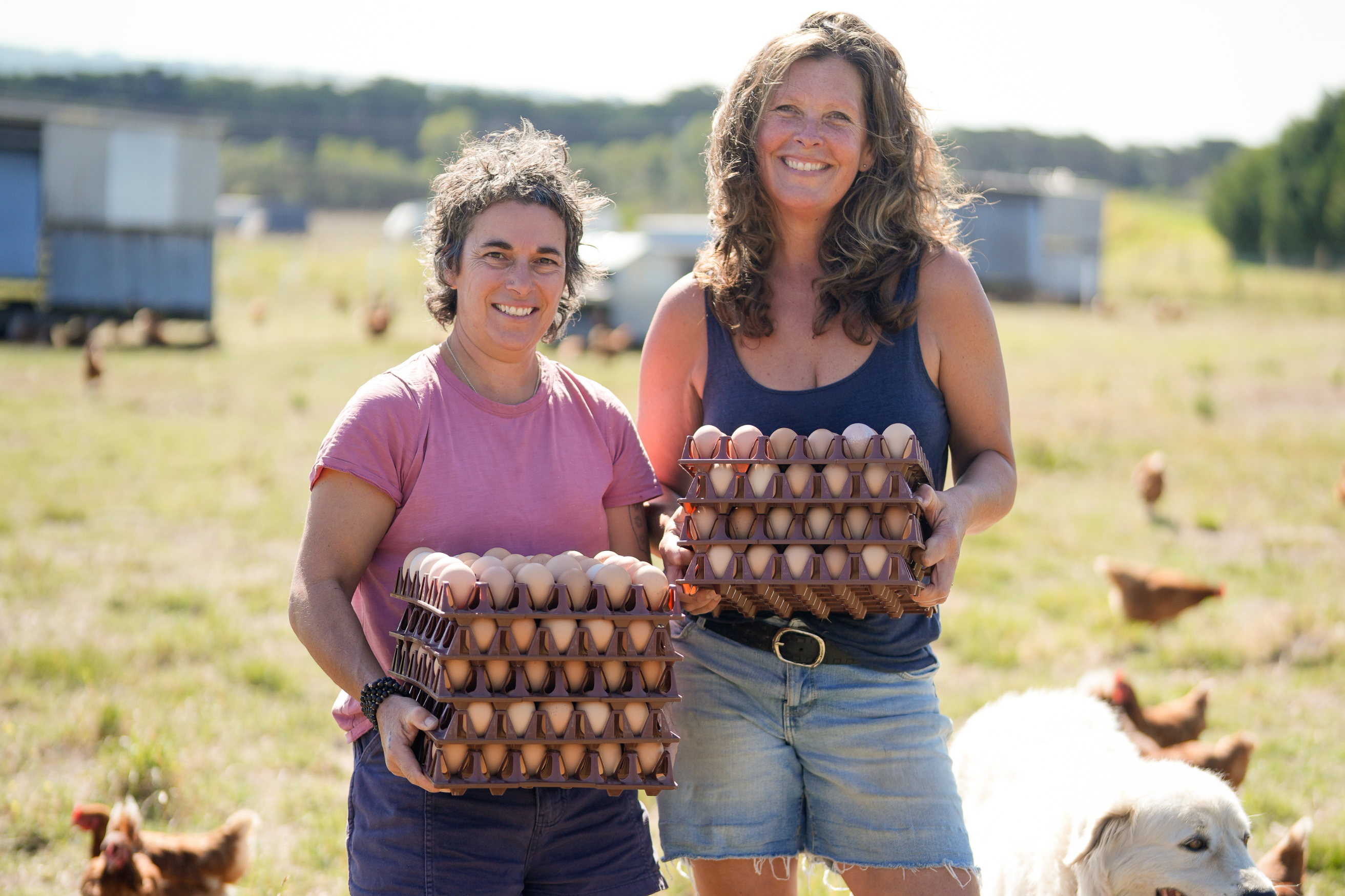 Land Soil & Sea - An immersive Melbourne Food & Wine Festival event