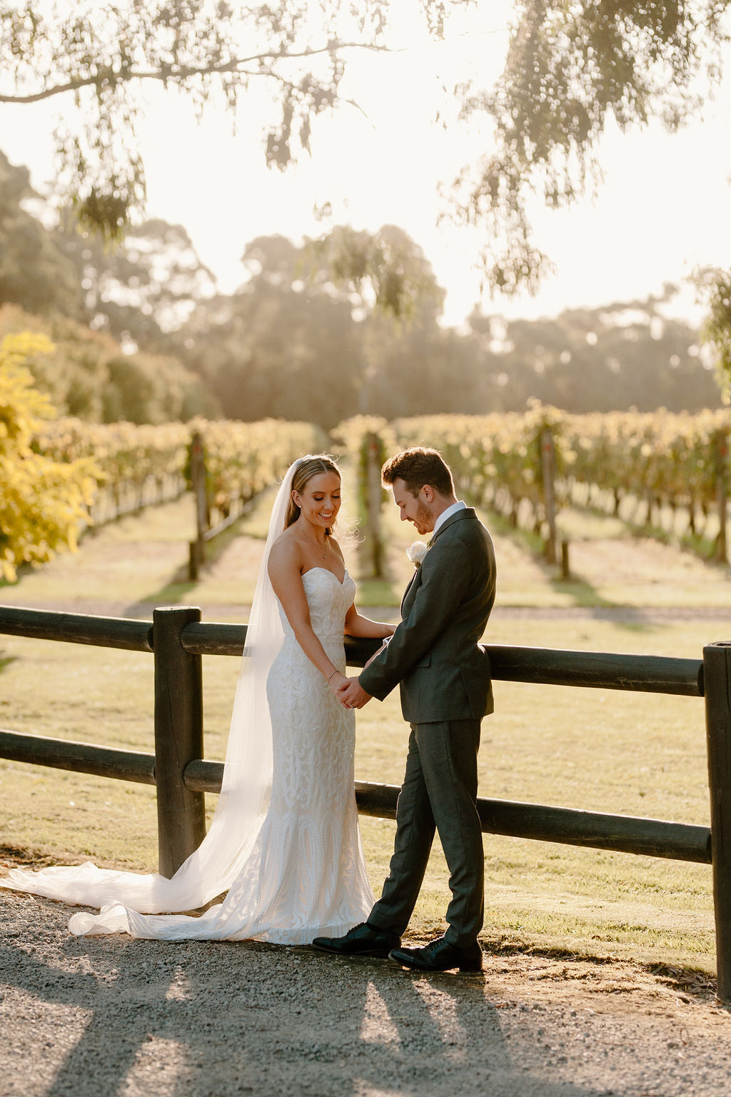 A bride and groom holding hands by the vines at golden hour