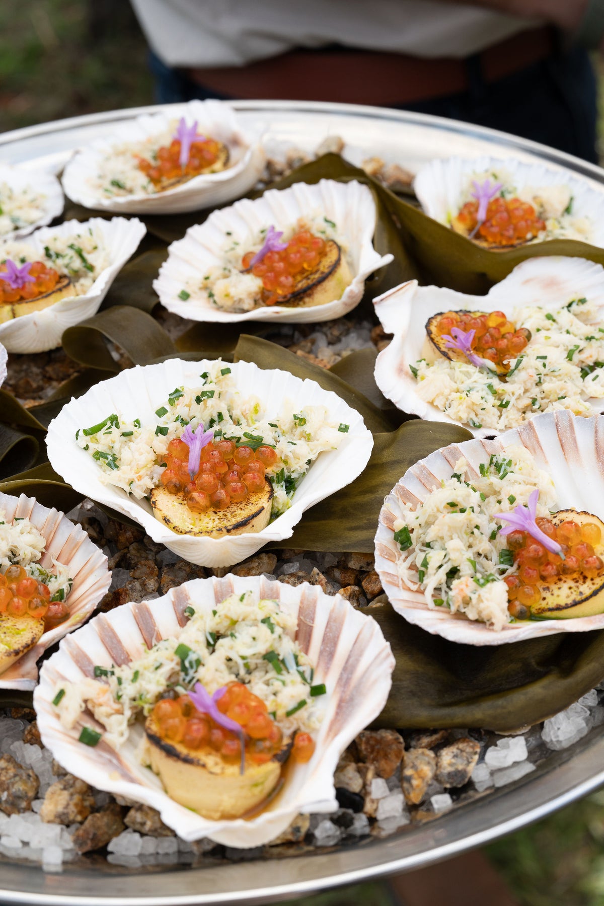 A platter of scallops in the shell with a bright dressing