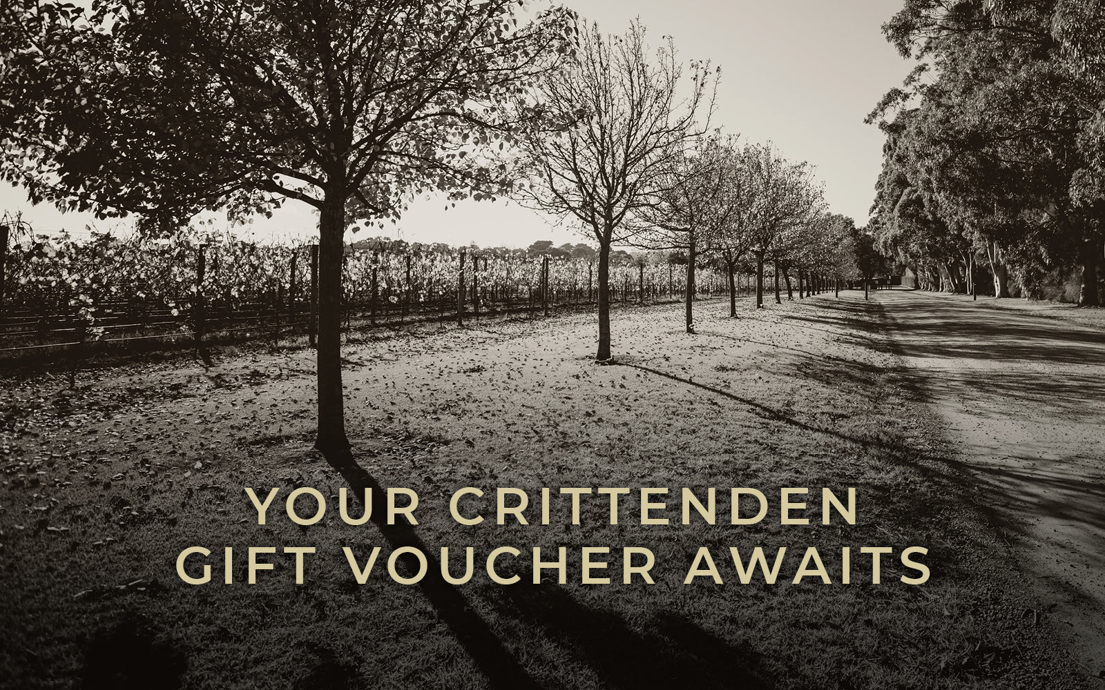Wine vineyard with text overlay 'Your Crittenden Gift Voucher Awaits'