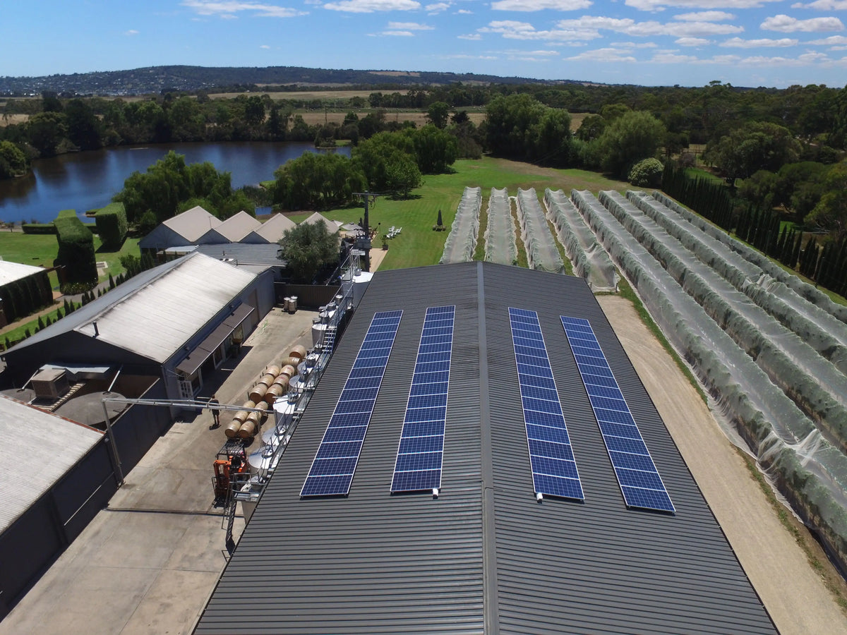 Solar panels on the roof of Crittenden's winery with a scenic background of their vineyard, lake and restaurant