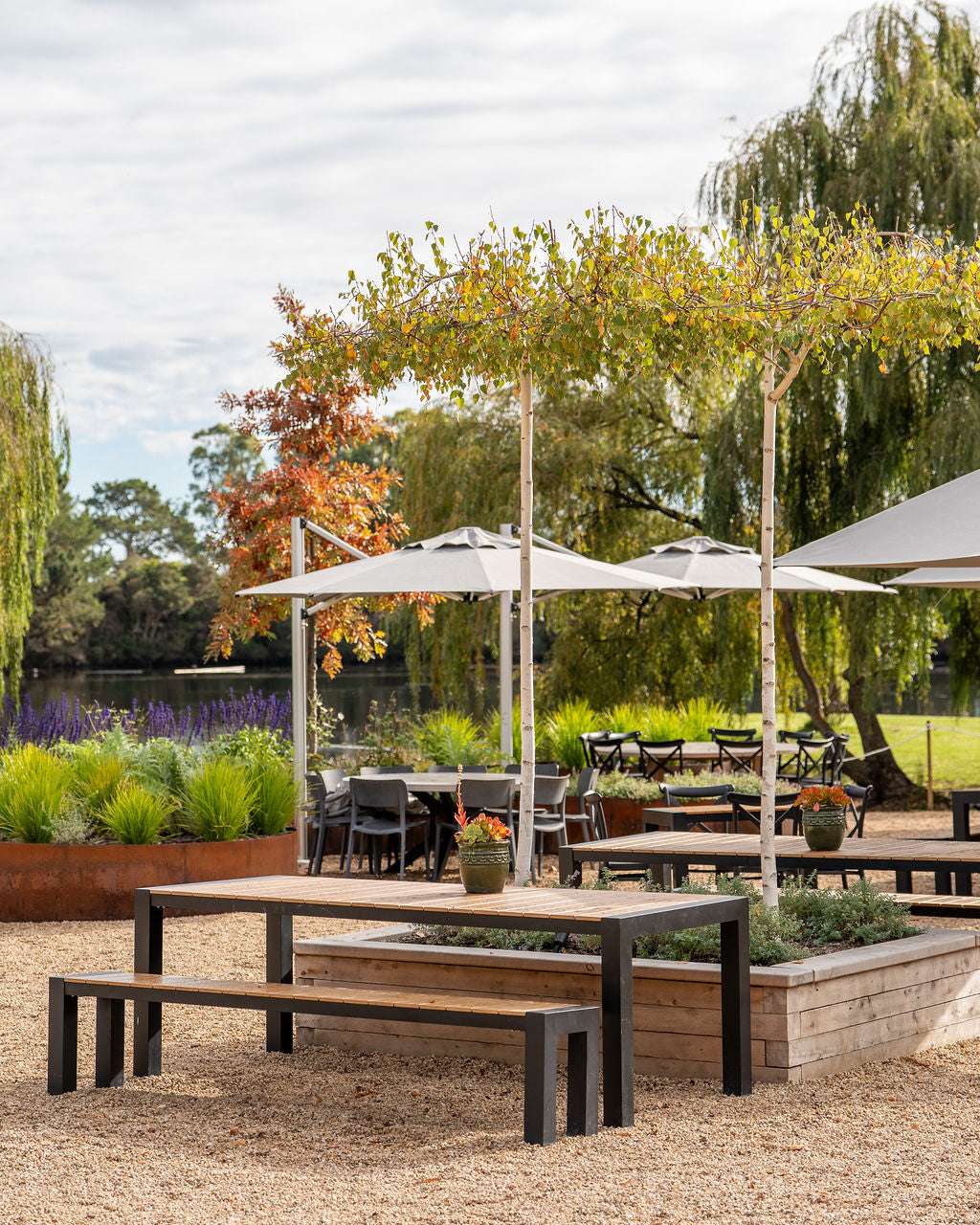 Picnic tables and umbrellas on the Terrace under autumn trees
