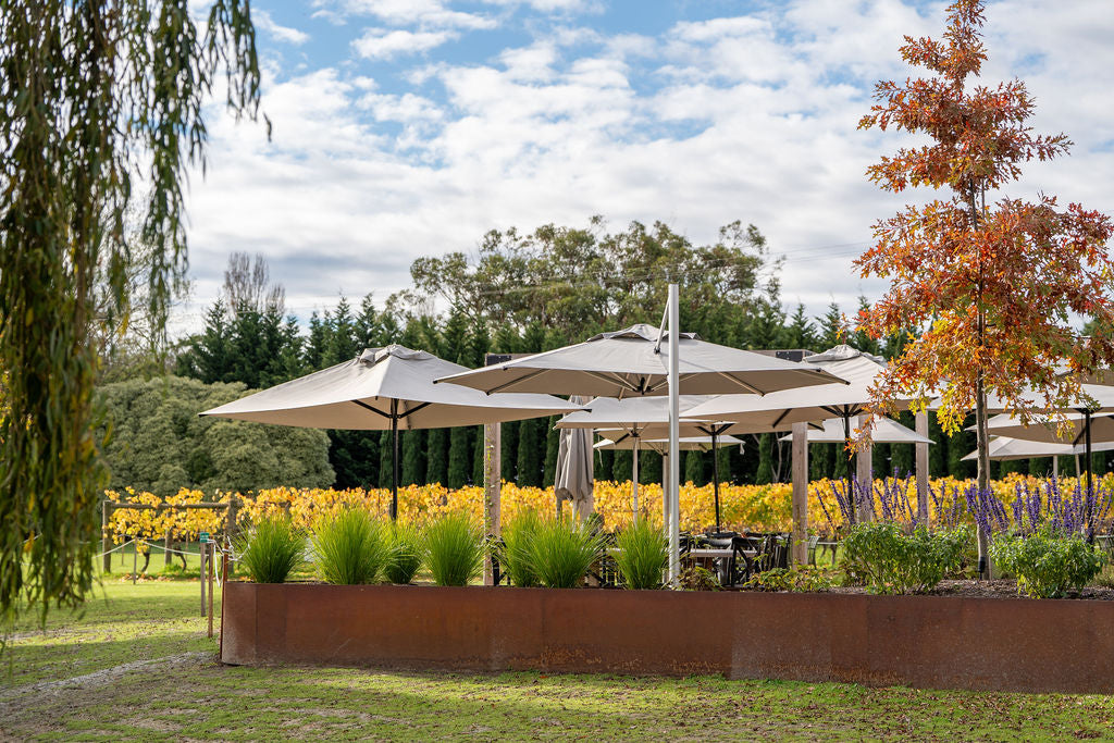 Umbrellas and flowering garden beds on the Terrace