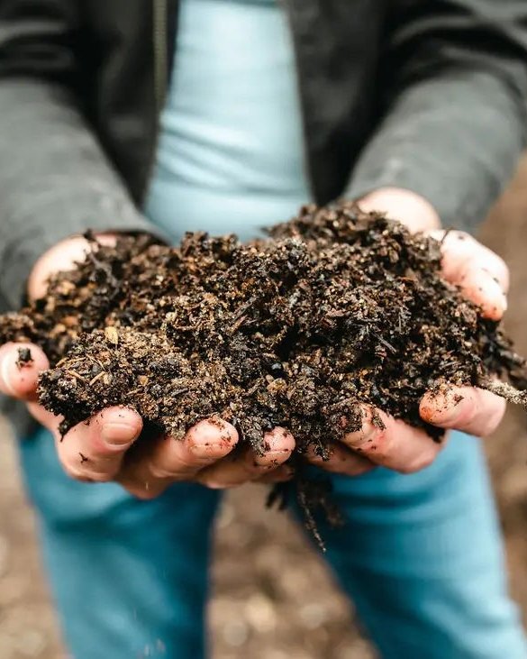 Hands holding a pile of dark compost